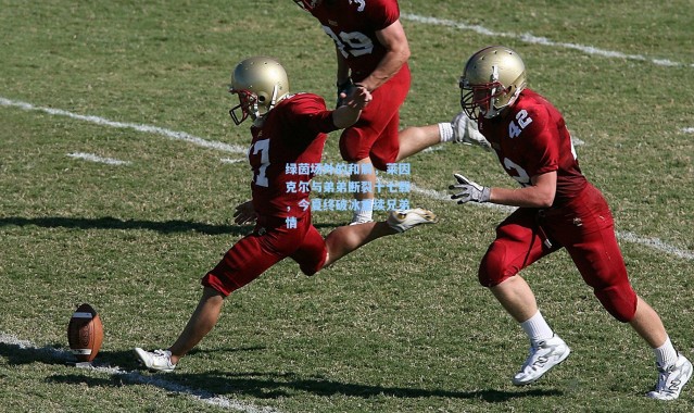 绿茵场外的和解，莱因克尔与弟弟断裂十七载，今夏终破冰重续兄弟情