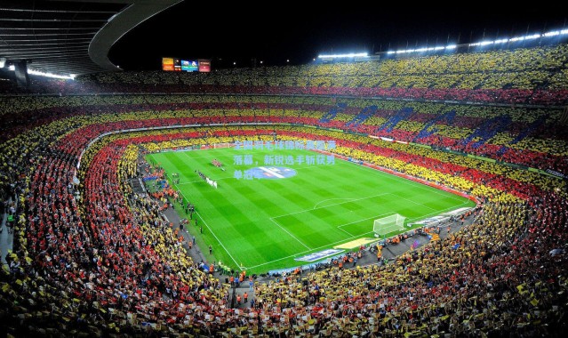 全国羽毛球锦标赛圆满落幕，新锐选手斩获男单冠军