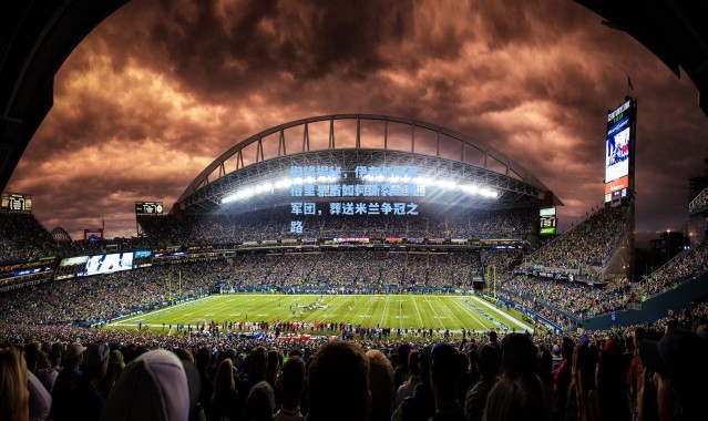 旧将揭秘，伊布与阿莱格里矛盾如何撕裂红黑军团，葬送米兰争冠之路