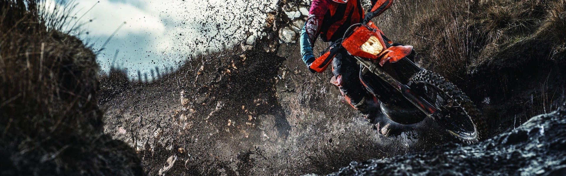 早报，挥金如土难换一胜，豪门陷有钱烦恼困局