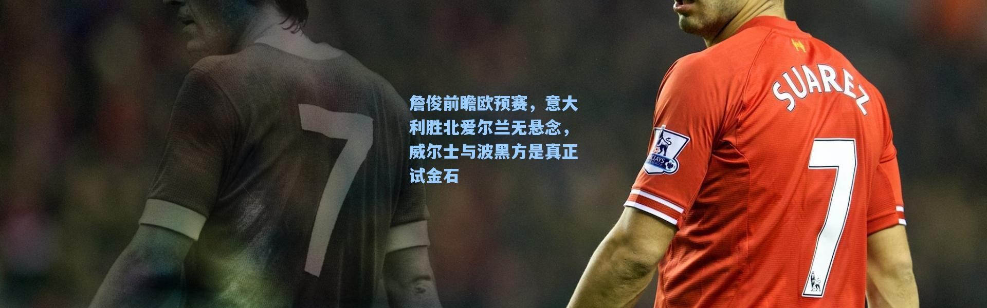 詹俊前瞻欧预赛，意大利胜北爱尔兰无悬念，威尔士与波黑方是真正试金石