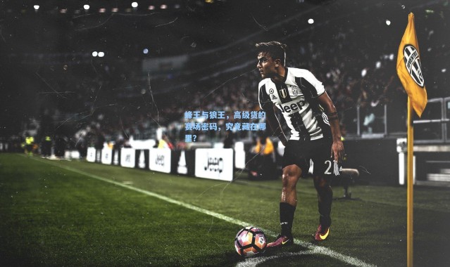 蜂王与狼王，高级货的赛场密码，究竟藏在哪里？