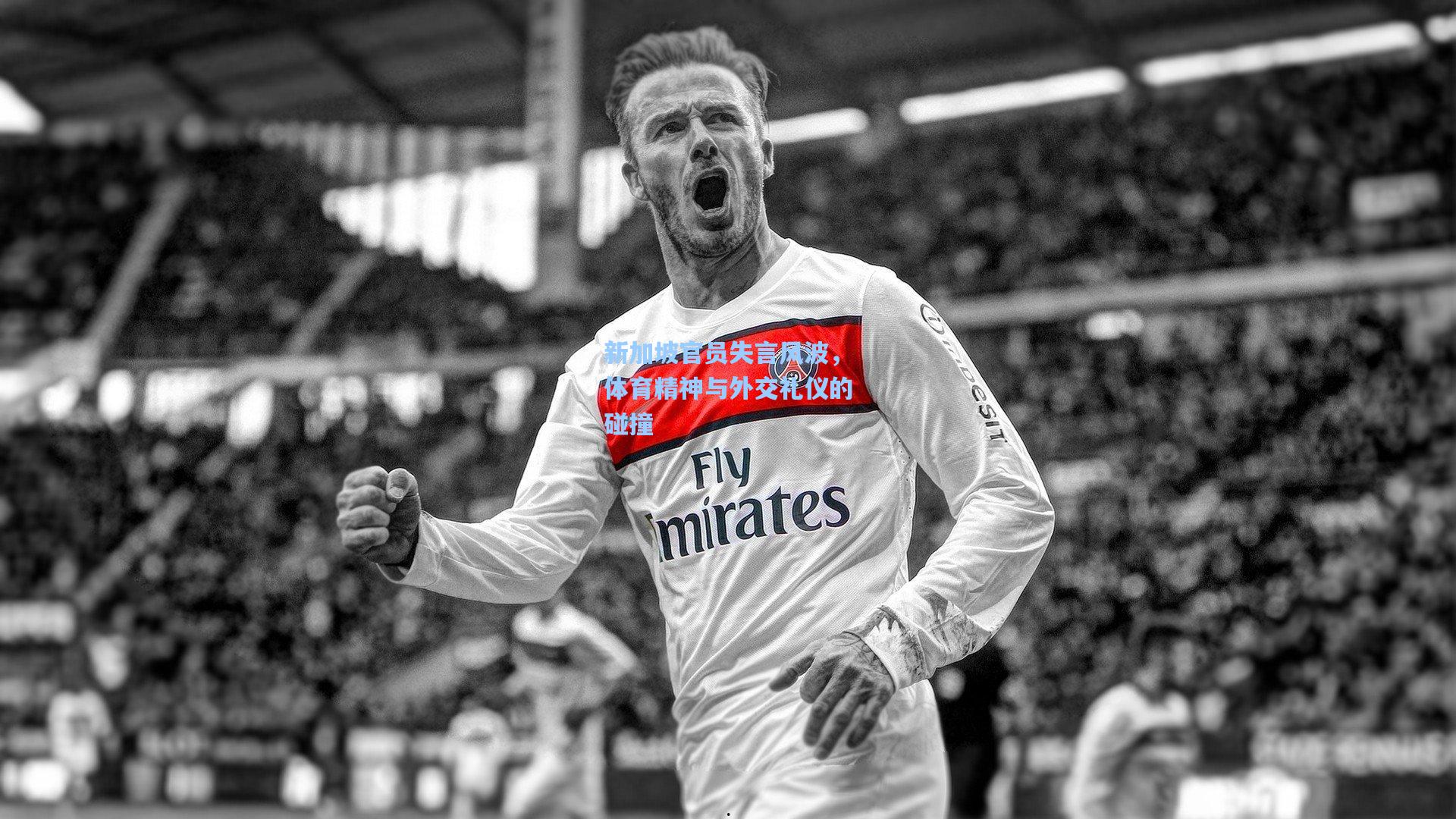 新加坡官员失言风波，体育精神与外交礼仪的碰撞