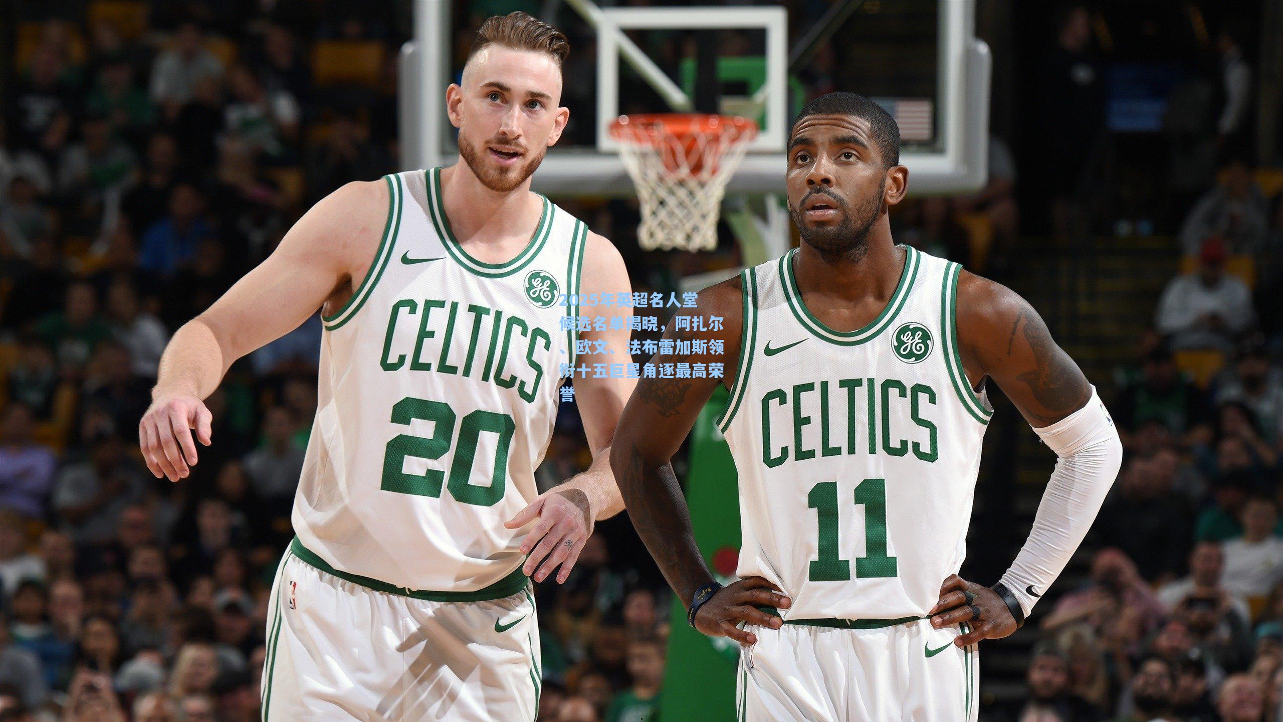 2025年英超名人堂候选名单揭晓,阿扎尔、欧文、法布雷加斯领衔十五巨星角逐最高荣誉